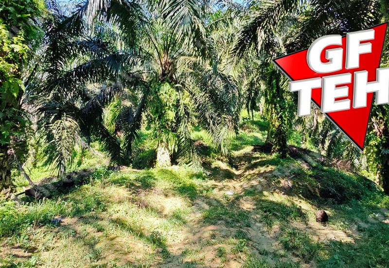 Kampung Baru Junjong