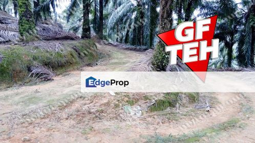 2.29 acres Agricultural Land Junjung | Kulim | Kedah 8psf, Penang, Simpang Ampat