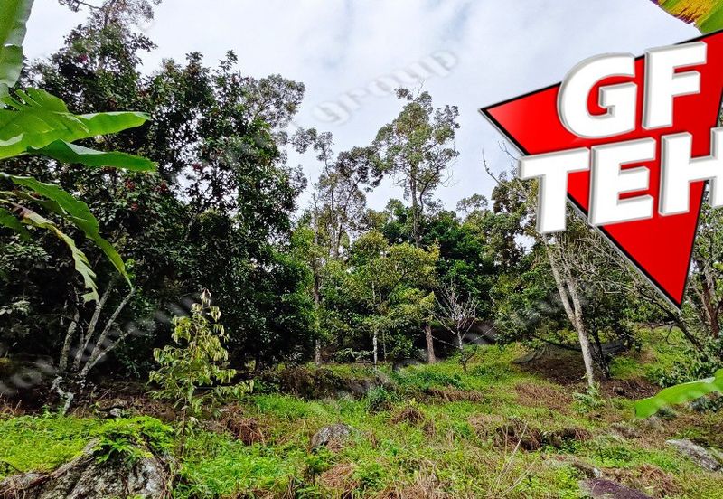 Jalan Balik Pulau / Teluk Kumbar