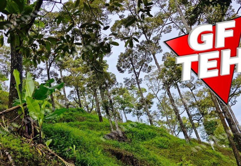 Jalan Balik Pulau / Teluk Kumbar