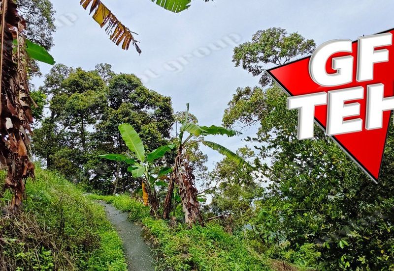 Jalan Balik Pulau / Teluk Kumbar