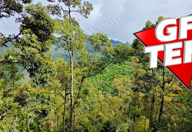 Jalan Balik Pulau / Teluk Kumbar