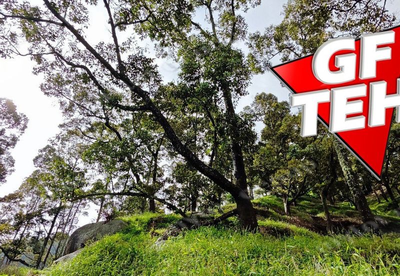 Jalan Balik Pulau / Teluk Kumbar