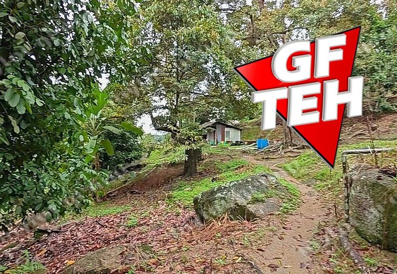 Jalan Balik Pulau / Teluk Kumbar