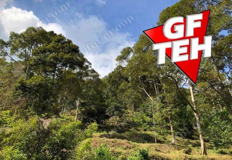 Jalan Balik Pulau / Teluk Kumbar