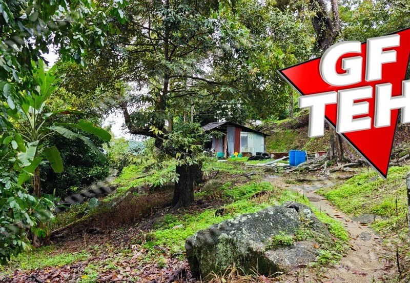 Jalan Balik Pulau / Teluk Kumbar