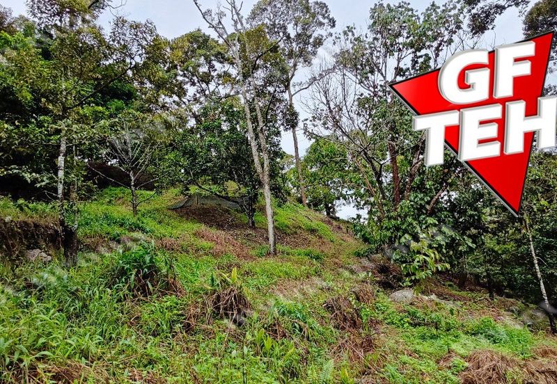 Jalan Balik Pulau / Teluk Kumbar