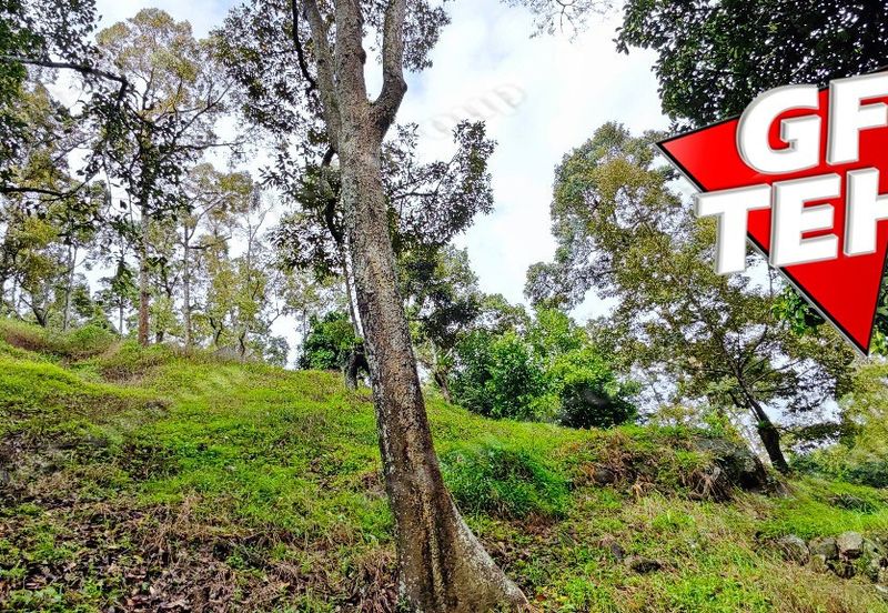 Jalan Balik Pulau / Teluk Kumbar