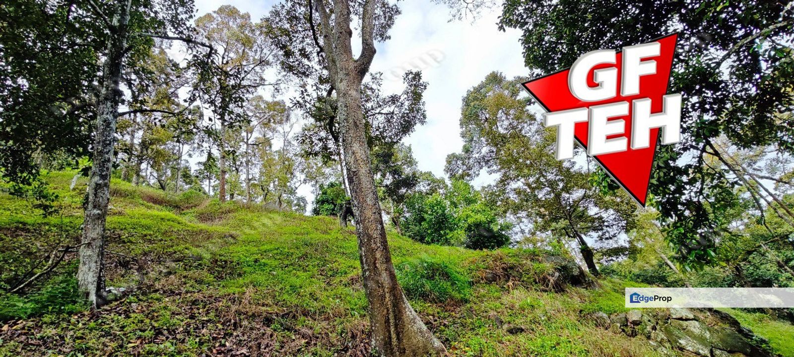 30 acre Durian Farm Balik Pulau 13.59psf only, Penang, Balik Pulau