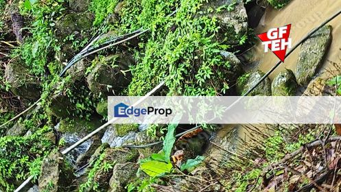 48 acre Durian Farm Balik Pulau 25 million only, Penang, Balik Pulau