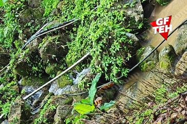 Balik Pulau / Teluk Bahang