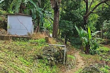 Balik Pulau / Teluk Bahang