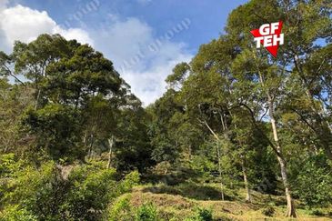 Balik Pulau / Teluk Bahang