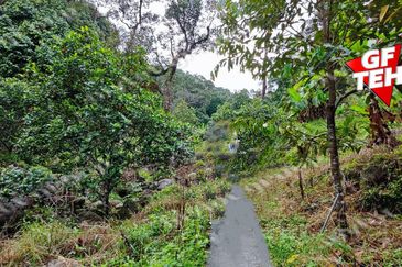 Balik Pulau / Teluk Bahang
