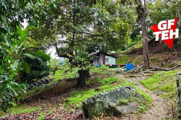 Balik Pulau / Teluk Bahang