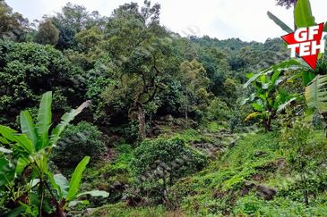Balik Pulau / Teluk Bahang
