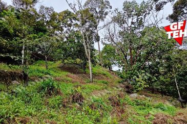 Balik Pulau / Teluk Bahang