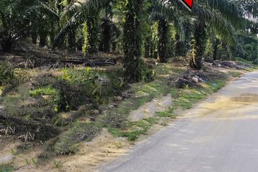 Kampung Tasek Junjong