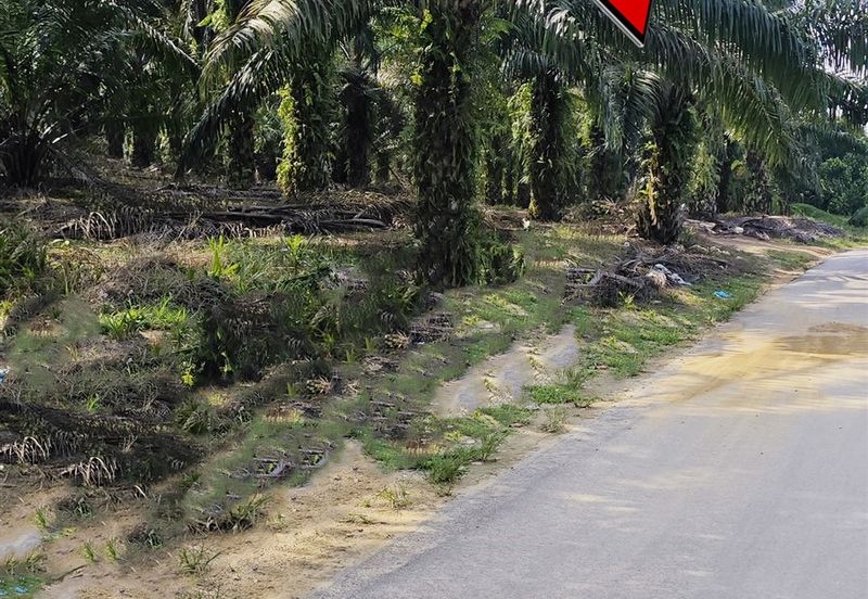 Kampung Tasek Junjong