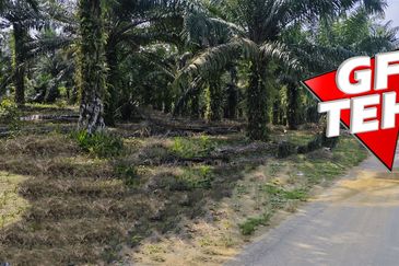 Kampung Tasek Junjong