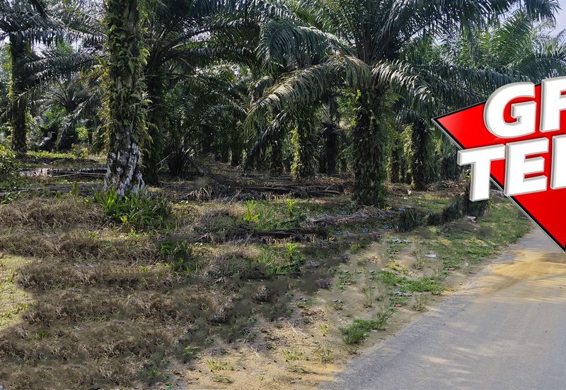 Kampung Tasek Junjong