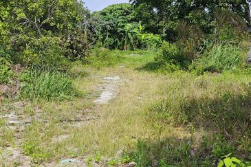 Kampung Tasek Junjong