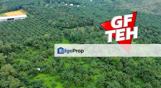 1.02 acre | Agricultural land | Near Machang Bubok Bukit Mertajam RM 770K , Penang, Bukit Mertajam