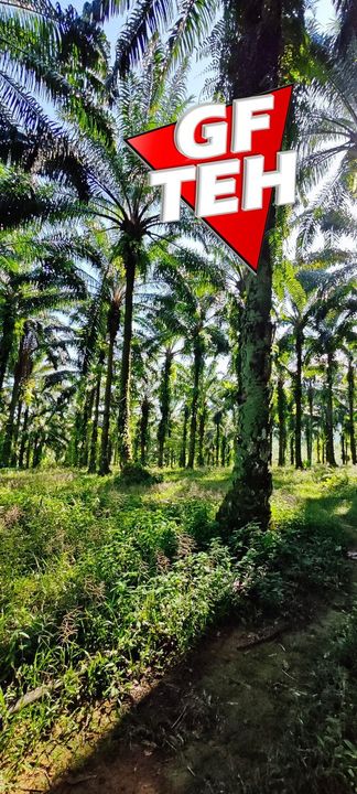 4.06 acres Residential Land | Junjong Kulim Kedah RM12.50 psf, Kedah, Kulim