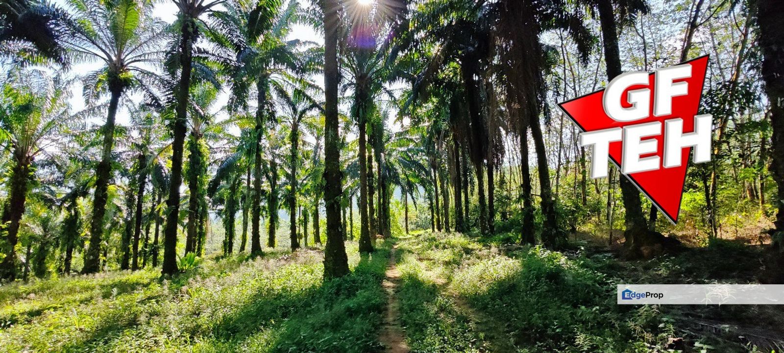 4.06 acres Residential Land | Junjong Kulim Kedah RM12.50 psf, Kedah, Kulim