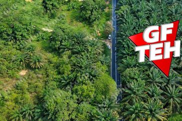 Kampung Kepala Gajah