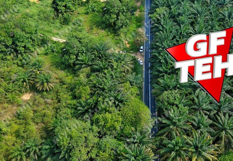 Kampung Kepala Gajah