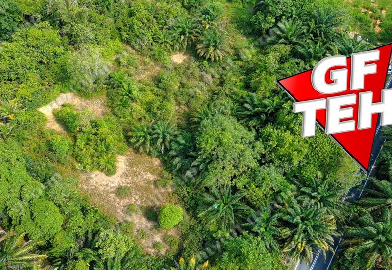 Kampung Kepala Gajah