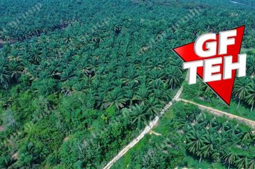 Kampung Kepala Gajah