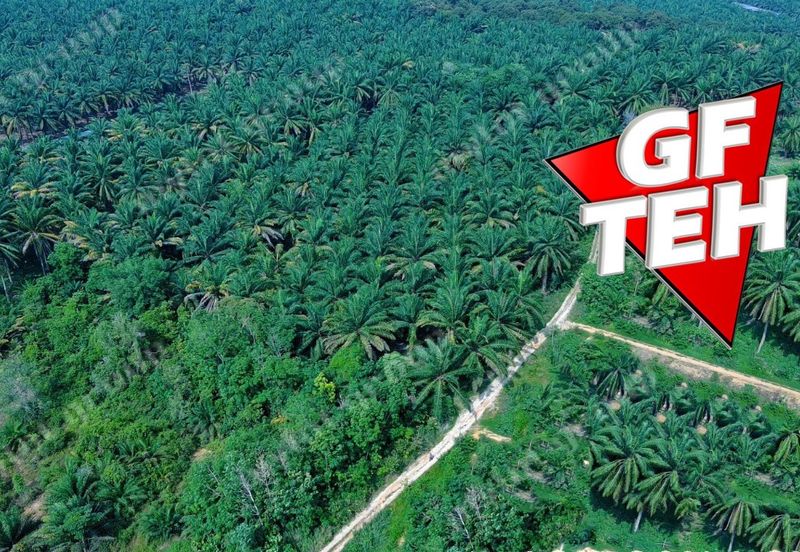 Kampung Kepala Gajah