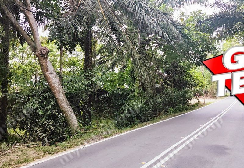 Kampung Kepala Gajah