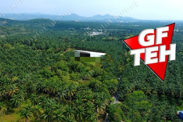 Kampung Kepala Gajah