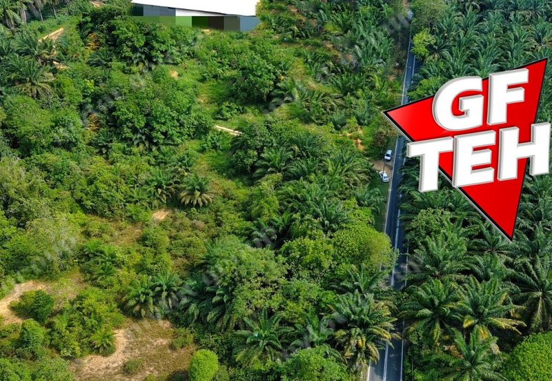 Kampung Kepala Gajah