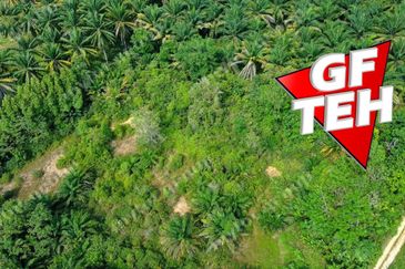 Kampung Kepala Gajah