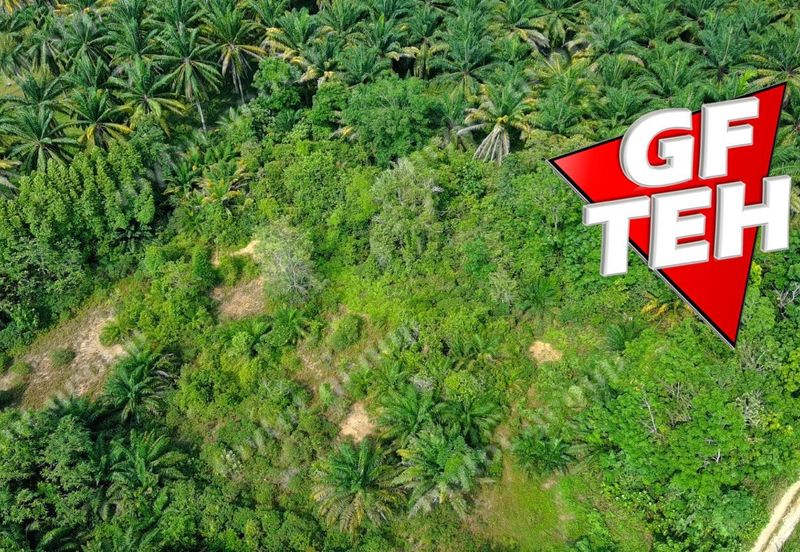 Kampung Kepala Gajah