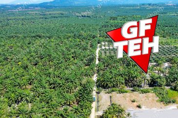 8.11 acres Agricultural Land | SPS | Sungai Kechil | Nibong Tebal | Pulau Pinang