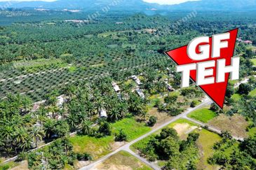 8.11 acres Agricultural Land | SPS | Sungai Kechil | Nibong Tebal | Pulau Pinang