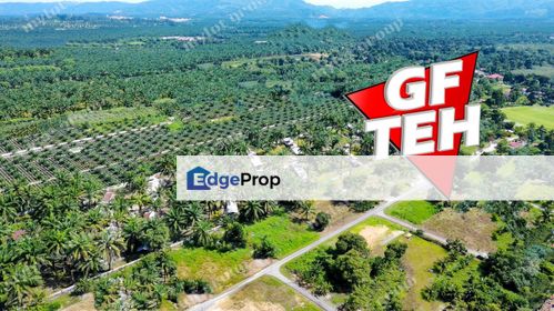 8.11 acres Agricultural Land | SPS | Sungai Kechil | Nibong Tebal | Pulau Pinang, Penang, Nibong Tebal