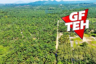 8.11 acres Agricultural Land | SPS | Sungai Kechil | Nibong Tebal | Pulau Pinang