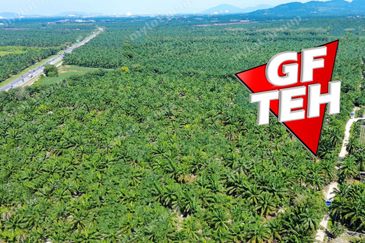 8.11 acres Agricultural Land | SPS | Sungai Kechil | Nibong Tebal | Pulau Pinang