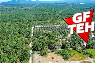 8.11 acres Agricultural Land | SPS | Sungai Kechil | Nibong Tebal | Pulau Pinang