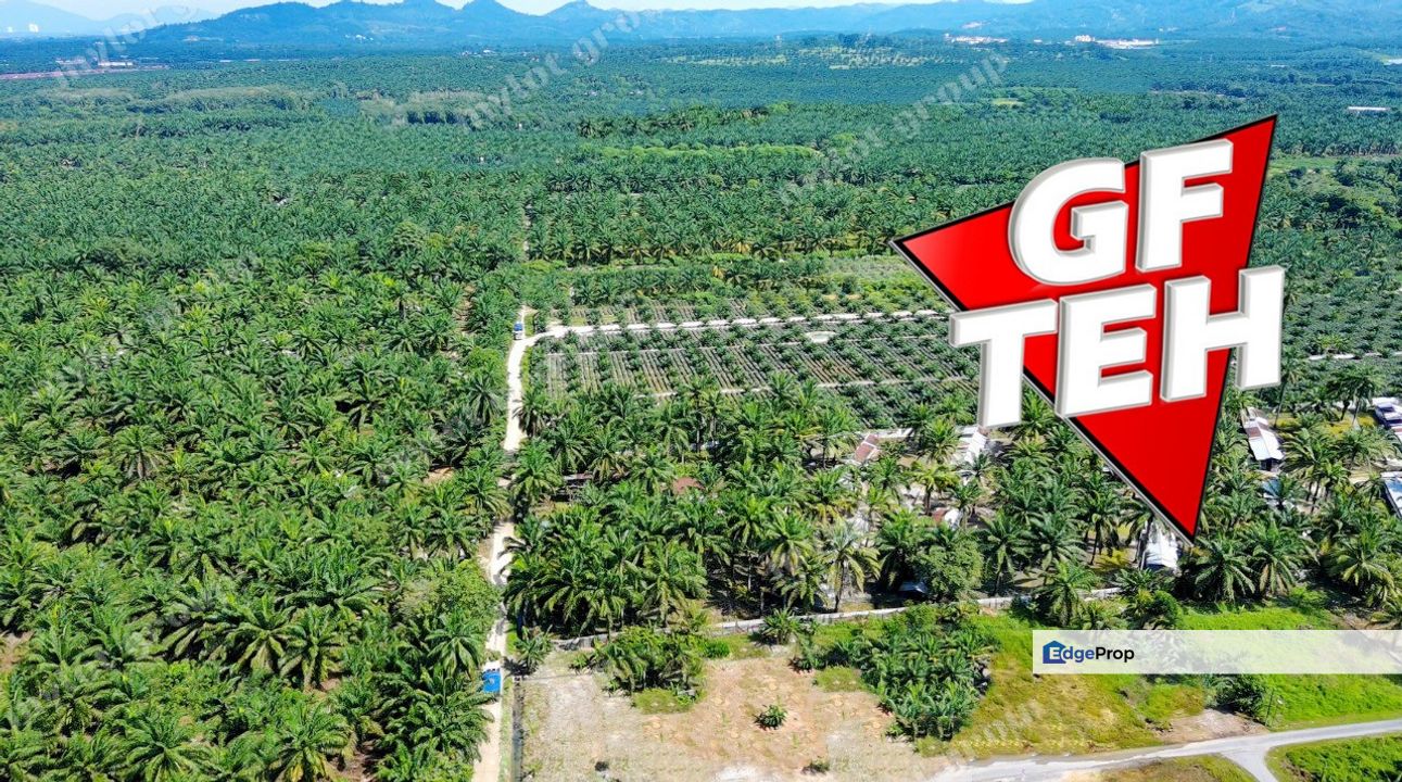 8.11 acres Agricultural Land | SPS | Sungai Kechil | Nibong Tebal | Pulau Pinang, Penang, Nibong Tebal