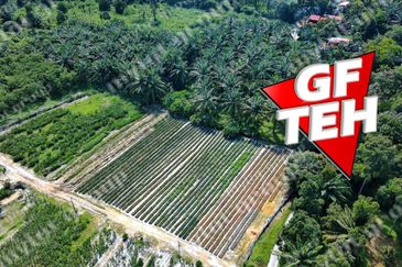8.54 acres Agricultural Land | Sungai Kechil | Nibong Tebal | Pulau Pinang RM18 psf