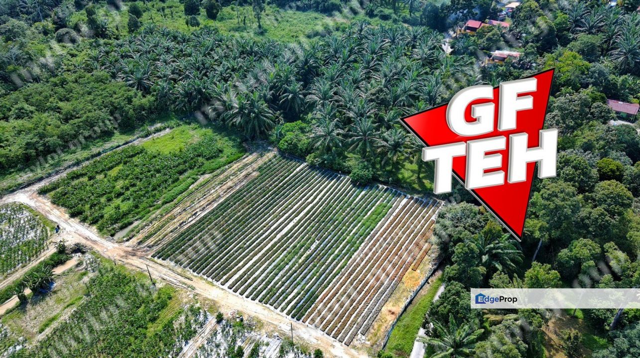 8.54 acres Agricultural Land | Sungai Kechil | Nibong Tebal | Pulau Pinang RM18 psf, Penang, Nibong Tebal