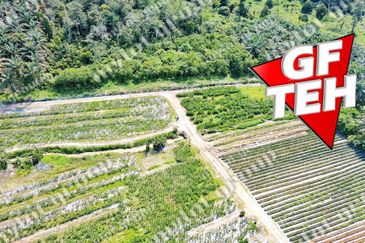 8.54 acres Agricultural Land | Sungai Kechil | Nibong Tebal | Pulau Pinang RM18 psf