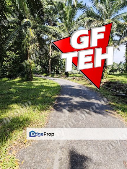 8.54 acres Agricultural Land | Sungai Kechil | Nibong Tebal | Pulau Pinang RM18 psf, Penang, Nibong Tebal
